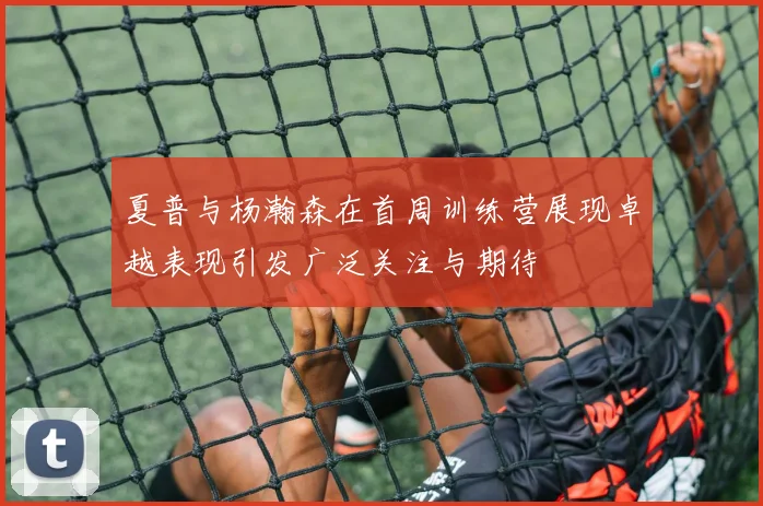 夏普与杨瀚森在首周训练营展现卓越表现引发广泛关注与期待
