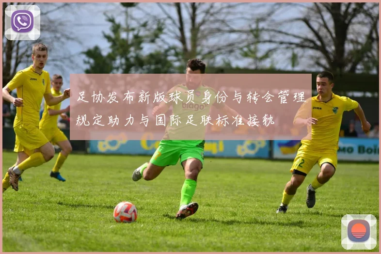 足协发布新版球员身份与转会管理规定助力与国际足联标准接轨