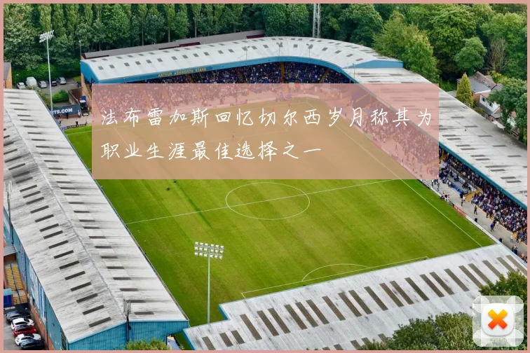 法布雷加斯回忆切尔西岁月称其为职业生涯最佳选择之一