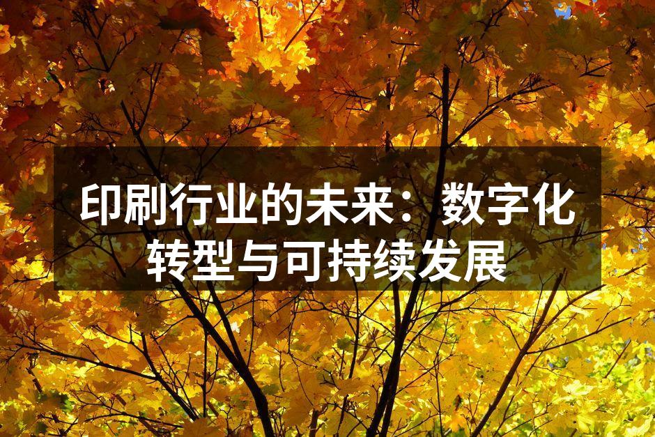 数字印刷的高效生产线