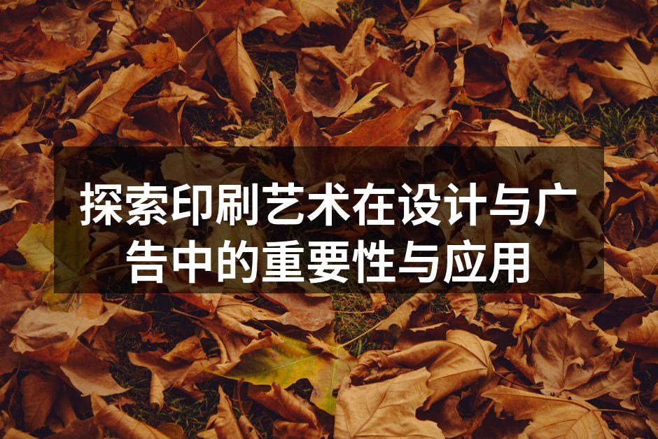 精美的印刷效果展示